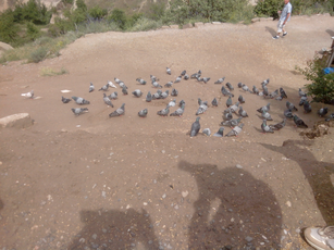 IMG_20140609_145314.jpg 2560x1920 index 96